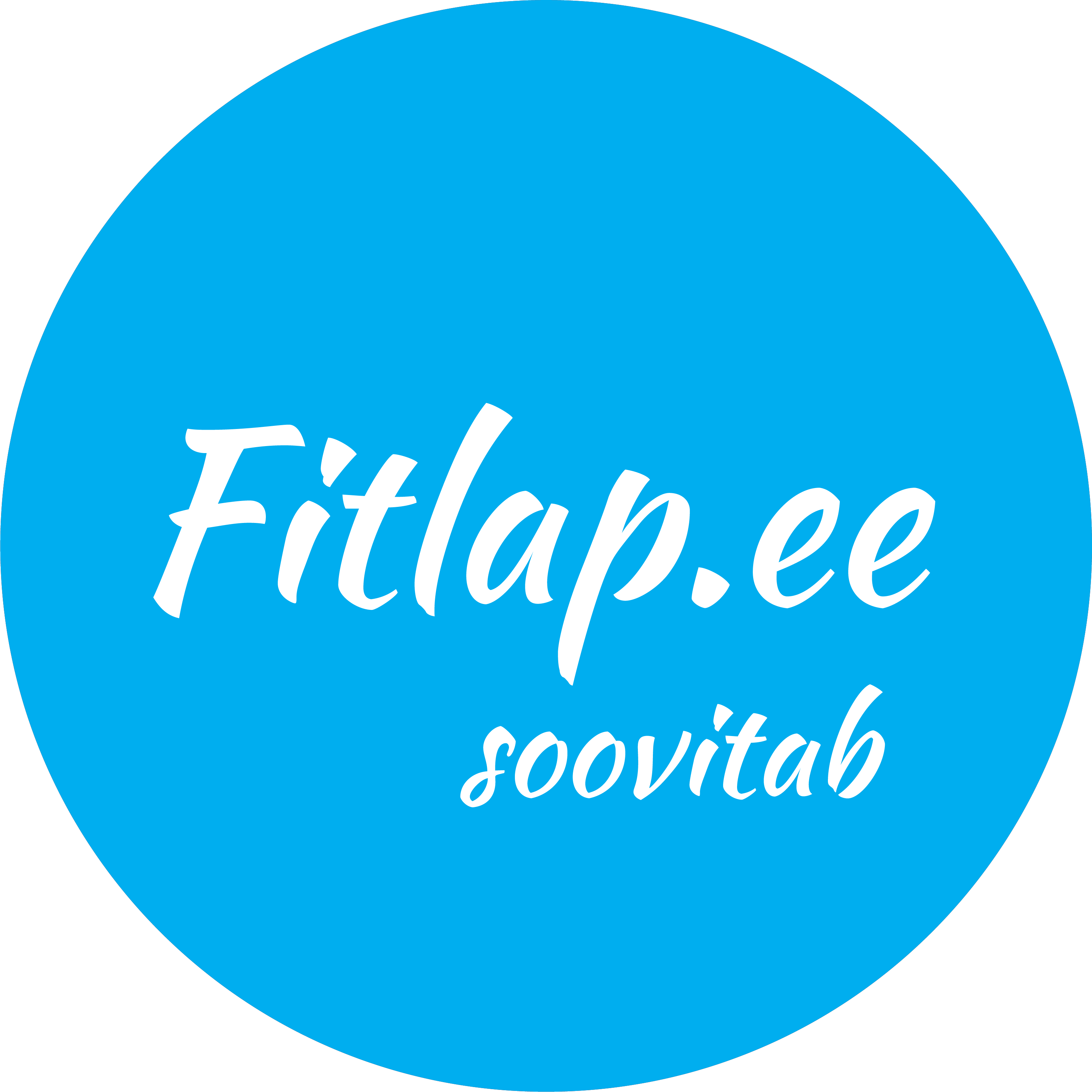 Fitlap brändi logo